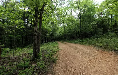 000 River Rd, Hardy, AR 72542 photo 32