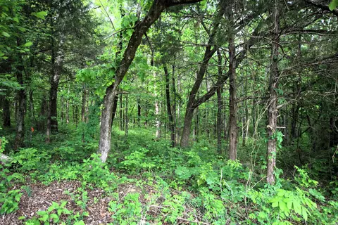 000 River Rd, Hardy, AR 72542 photo 49