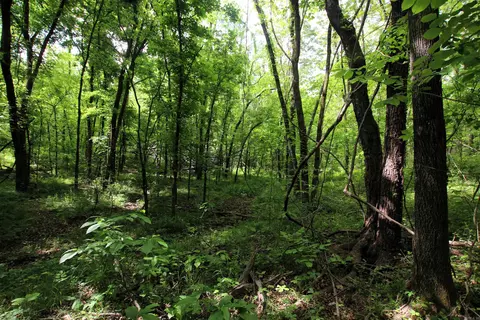 000 River Rd, Hardy, AR 72542 photo 38