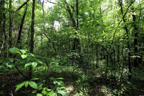 000 River Rd, Hardy, AR 72542 photo 39