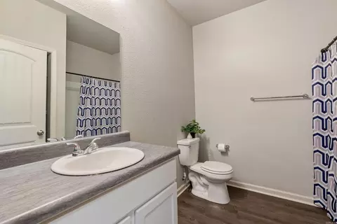 Bath - 1200 Mae Ln, Conway, AR 72032 photo 2 of 2