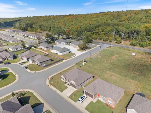 View/Area - 1200 Mae Ln, Conway, AR 72032 photo 5 of 5