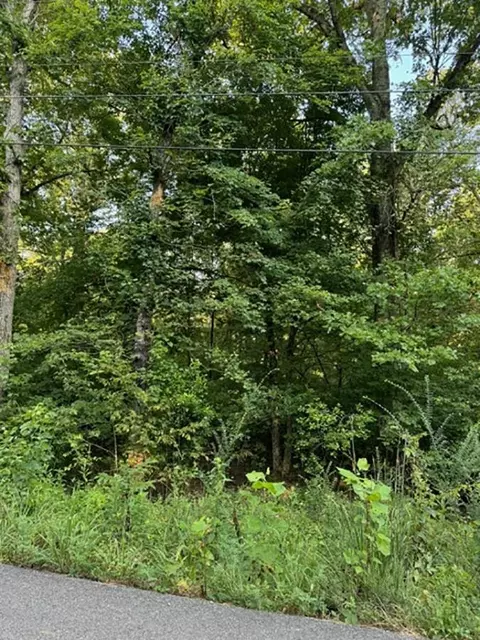 Woodland Hills Road, Hardy, AR 72542
