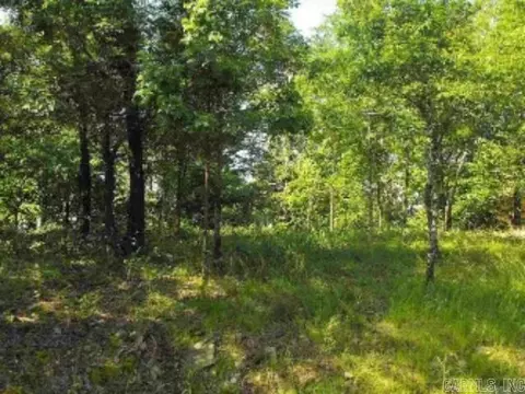 46 Binefar Way, Hot Springs Village, AR 71909