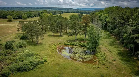 727 E Bowling Rd, Clinton, AR 72031 photo 34