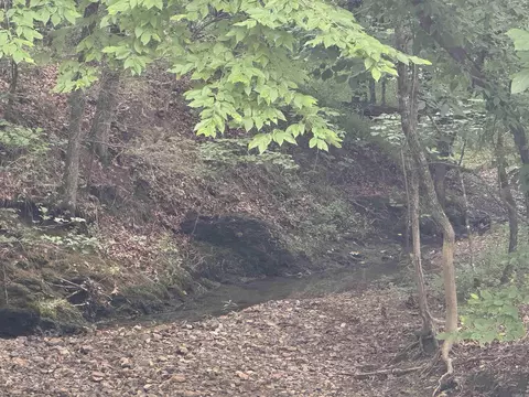 10 Acres Liberty Rd, Norman, AR 71960