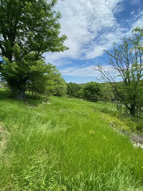 lot16 17 Autumn Ln, Beebe, AR 72012 photo 4
