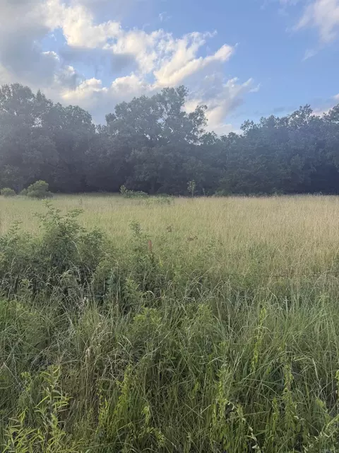 00 Pruett Rd, Conway, AR 72032 photo 3
