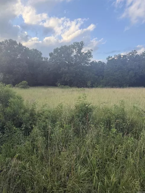 00 Pruett Rd, Conway, AR 72032 photo 4