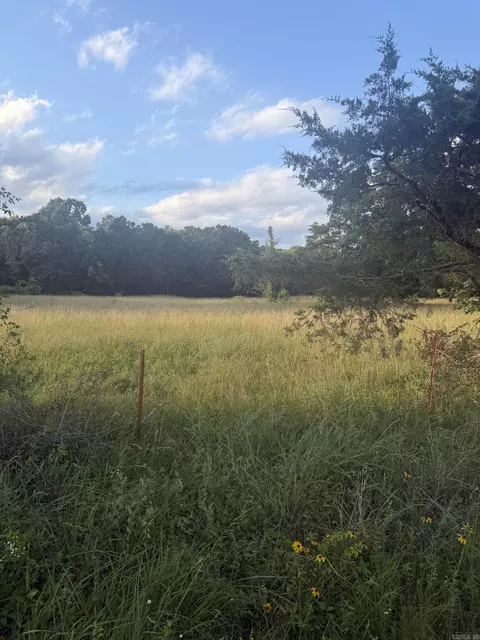 00 Pruett Rd, Conway, AR 72032