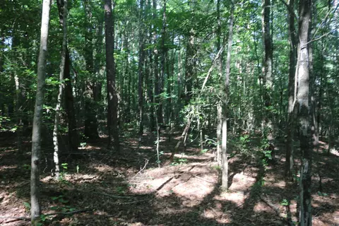 0000 Polk Rd 47, Mena, AR 71953