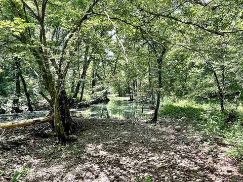 000 Resort Rd, Higden, AR 72067 photo 28