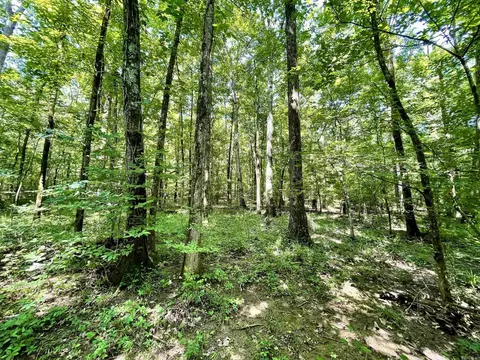 000 Resort Rd, Higden, AR 72067 photo 25