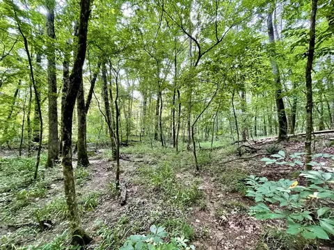 000 Resort Rd, Higden, AR 72067 photo 36