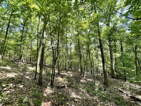 000 Resort Rd, Higden, AR 72067 photo 38