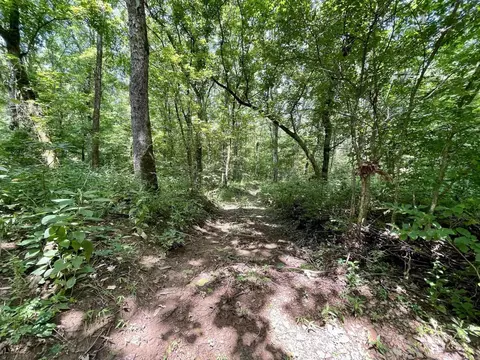 000 Resort Rd, Higden, AR 72067 photo 33