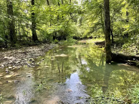 000 Resort Rd, Higden, AR 72067 photo 32