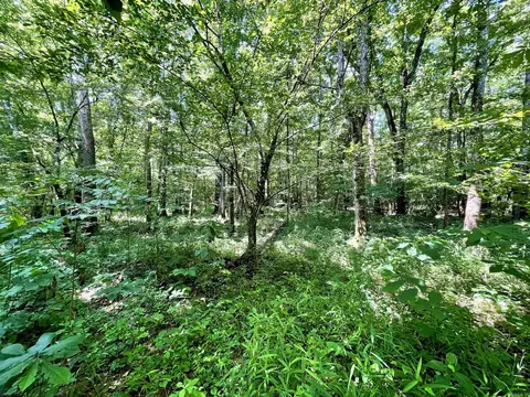 000 Resort Rd, Higden, AR 72067 photo 23