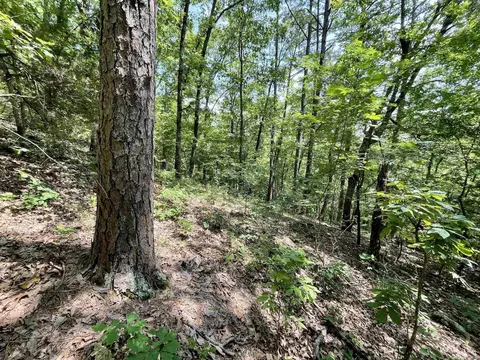 000 Resort Rd, Higden, AR 72067 photo 40