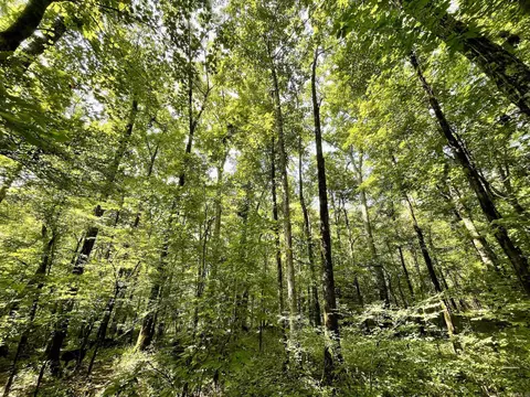 000 Resort Rd, Higden, AR 72067 photo 27