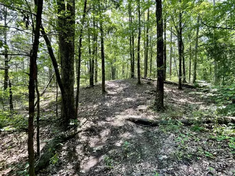 000 Resort Rd, Higden, AR 72067 photo 47