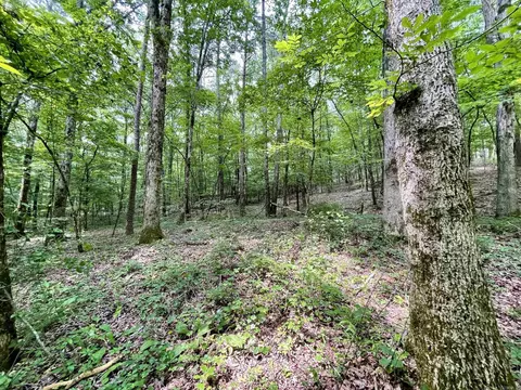 000 Resort Rd, Higden, AR 72067 photo 37