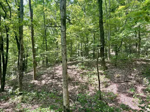 000 Resort Rd, Higden, AR 72067 photo 44