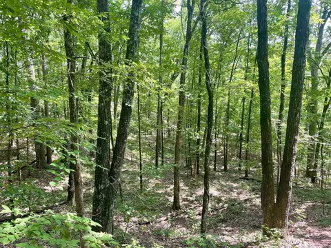 000 Resort Rd, Higden, AR 72067 photo 41