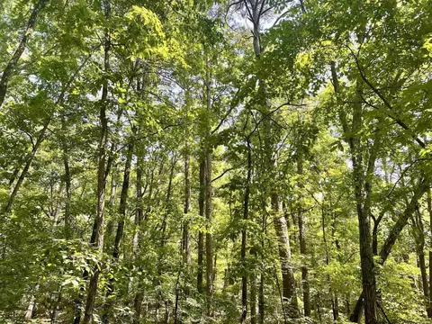 000 Resort Rd, Higden, AR 72067 photo 43
