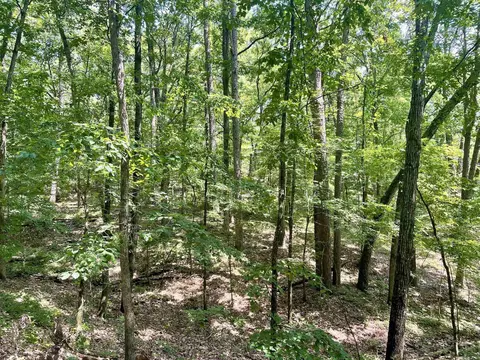 000 Resort Rd, Higden, AR 72067 photo 42