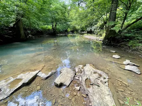 000 Resort Rd, Higden, AR 72067 photo 34