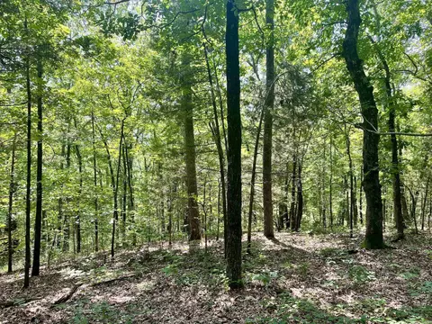 000 Resort Rd, Higden, AR 72067 photo 45