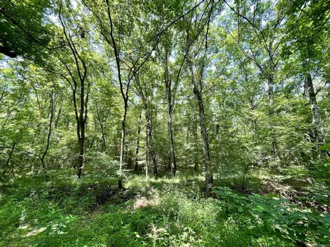 000 Resort Rd, Higden, AR 72067 photo 31