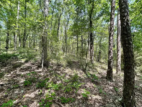 000 Resort Rd, Higden, AR 72067 photo 39