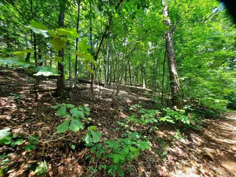 00 Wildhaven Rd, Mountain View, AR 72560 photo 2