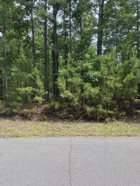 29 Ballobar Ln, Hot Springs Village, AR 71909