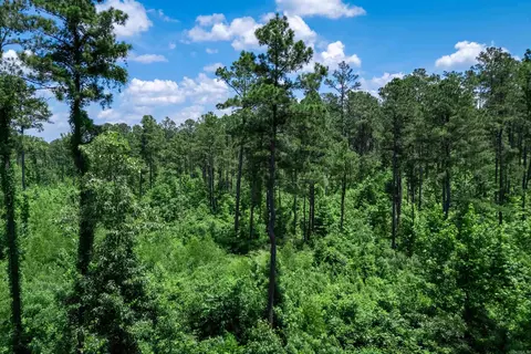 tbd Mathews Rd, Donaldson, AR 71941 photo 8
