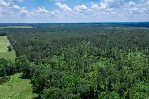 tbd Mathews Rd, Donaldson, AR 71941 photo 5