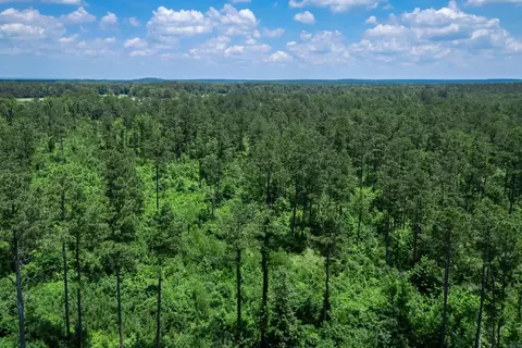 tbd Mathews Rd, Donaldson, AR 71941 photo 7