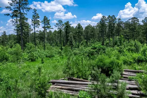 tbd Mathews Rd, Donaldson, AR 71941 photo 11