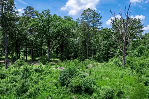 tbd Mathews Rd, Donaldson, AR 71941 photo 10