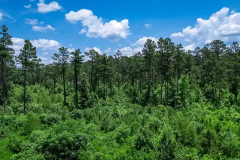 tbd Mathews Rd, Donaldson, AR 71941 photo 4