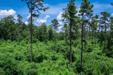 tbd Mathews Rd, Donaldson, AR 71941 photo 9