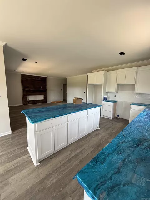 Kitchen - 507 Madeleine Cir, Austin, AR 72007 photo 1 of 1