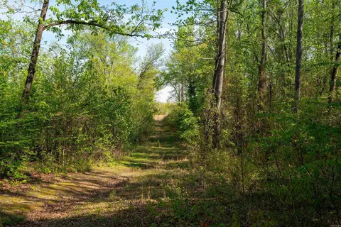 Other - 119 Gemar, Pangburn, AR 72121 photo 32 of 32