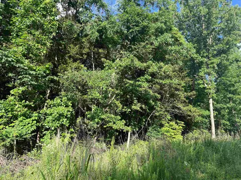 Grassy Gap Road, Harrison, AR 72601