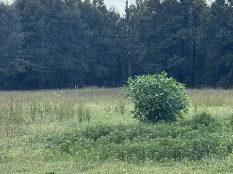 00 Bland Chapel Rd, Ward, AR 72176 photo 7