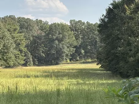 00 Bland Chapel Rd, Ward, AR 72176 photo 6
