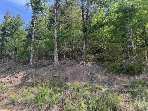 0 Smithers Rd, Paron, AR 72122 photo 10