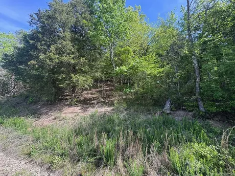 0 Smithers Rd, Paron, AR 72122 photo 9